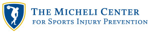 MicheliCenter_Logo-Large